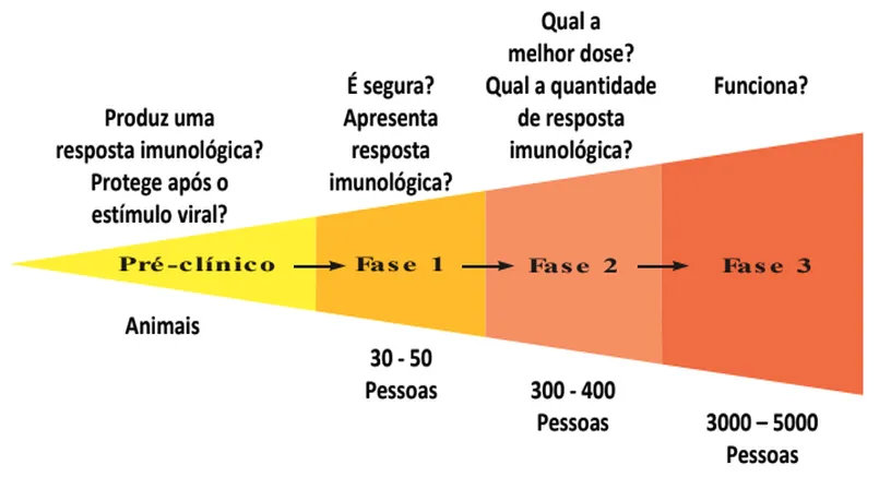 Tabela com Fases de Experimento com Vacinas